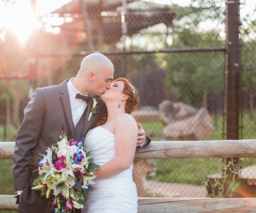 Ally and Rob - Knoxville Zoo Wedding